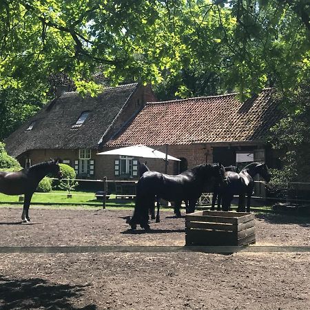Zoersel De Swaenhoeve المظهر الخارجي الصورة
