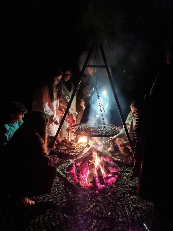 Zoersel De Swaenhoeve المظهر الخارجي الصورة